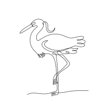 Egret Drawing in One Line: Practice Gentle Bird Forms with Clean and Easy Lines