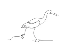 Egret One Line Art: Practice Tall Bird Drawing with Simple and Effective Shapes