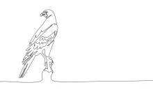 "One-Line Falcon Drawing: A Minimalist Study of a Powerful and Focused Bird"