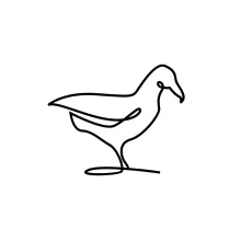 One-Line Drawing of a Seagull in Motion: Practice Clear Lines and Natural Flight