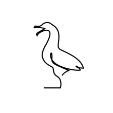 Minimal Flying Seagull Art: Learn Simple Bird Motion with One Connected Line