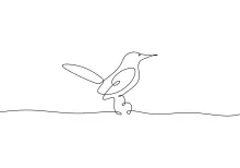 One Line Cute Hummingbird Drawing: Small, Fun Bird for Practice and Detail