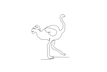 "One-Line Ostrich Drawing: A Minimalist Study of Motion and Strength"