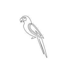 One Line Parrot Drawing with Long Tail: Practice Fun Bird Shapes in a Simple Way