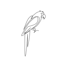 "One Line Parrot Drawing: A Minimalist Study of an Intelligent and Playful Bird"