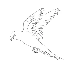 One-Line Flying Parrot Drawing: Explore Shape and Personality Through Simple Line Art