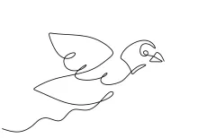One-Line Parrot Drawing: Learn Expressive Bird Shapes Through Simple Techniques