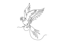 "One-Line Parrot Drawing: A Minimalist Study of Motion and Intelligence"