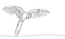 "Minimalist One-Line Parrot Drawing: Capturing Intelligence and Vibrancy in Simple Art"