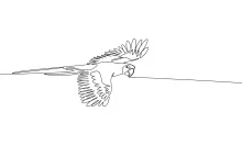 "Minimalist One-Line Parrot Drawing: Capturing Motion and Energy in Simple Art"