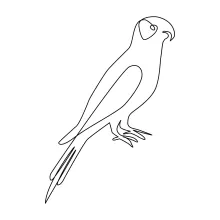 Easy One Line Parrot Bird Drawing: Practice Curves and Balance in Fun Bird Art