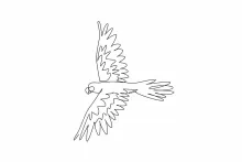 Flying Parrot Drawing in One Line: Practice Open Wings and Body Movement