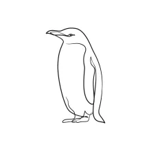 Easy One-Line Drawing of a Penguin: Build Focus and Shape Recognition
