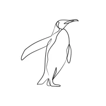 One-Line Penguin Drawing: Use Easy Bird Shapes to Build Sketching Confidence