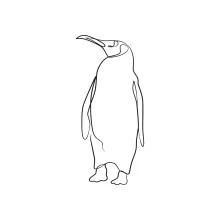 "One-Line Penguin Drawing: A Minimalist Study of a Resilient Antarctic Bird"