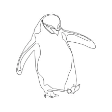 Learn to Draw a Penguin in One Line: Practice Balance and Simplicity in Art