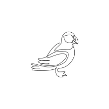 "One Line Puffin Drawing: A Minimalist Approach to Capturing a Seabird’s Charm"