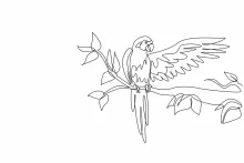 One Line Macaw Drawing: Learn to Draw Friendly Parrot Forms with Simple Lines