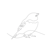 One-Line Sparrow Drawing: Practice Tiny Bird Forms with Easy Line Work