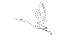 One-Line Flying Storks Drawing: Learn Wing Shapes and Movement in Minimal Form