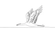 "Minimalist One-Line Stork Drawing: Capturing a Majestic Wading Bird in Simple Art"