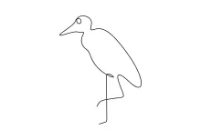 Draw a Stork in One Line: Easy Bird Practice with Simple Proportions