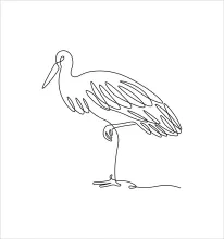 Stork One Line Drawing: Learn to Draw Birds with Long Legs and Simple Proportions