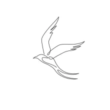 "Minimalist One Line Swallow Drawing: Capturing Elegance in Motion"