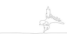 "One-Line Swallow Drawing: A Minimalist Approach to Capturing Speed and Grace"