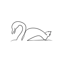 "One-Line Swan Drawing: A Simple Representation of Poise and Grace"