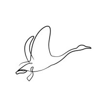 "One-Line Swan Drawing: Capturing Tranquility Through Minimalist Art"