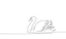 "One-Line Swan Drawing: A Minimalist Study of Elegance and Poise"