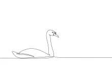 "One-Line Abstract Swan Drawing: A Minimalist Study of Elegance and Flow"
