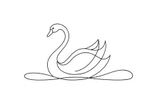 "One Line Swan Drawing: A Simple Study of Elegance and Proportions"
