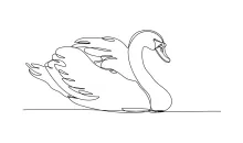 Mute Swan One Line Drawing: Practice Long-Neck Bird Forms with Clean Art Technique