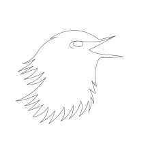 One-Line Tailor Bird Head Drawing: Focus on Small Detail with Simple Shapes