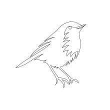 One-Line Tailor Bird Drawing: Practice Tiny Forms and Sharp Outlines in Simple Art