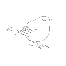 Simple One-Line Drawing of a Tailor Bird: Focus on Small Shape and Balance