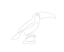 "One-Line Toucan Drawing: A Minimalist Study of a Majestic bird"