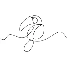 One Line Toucan Drawing: Learn Beak Shapes Through Tropical Bird Art