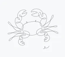 Draw a Sea Crab Using One Line to Practice Minimal Shapes and Clear Design