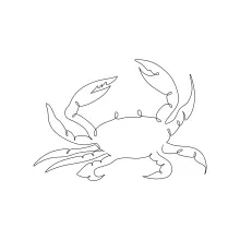 Simple One-Line Crab Drawing for Beginners to Practice Animal Shapes and Symmetry