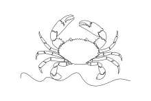 Big Crab One-Line Drawing Exercise to Practice Symmetry and Proportional Thinking
