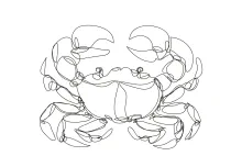 Easy One-Line Crab Drawing to Boost Fine Motor Skills and Artistic Focus