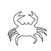 Draw a One-Line Crab to Explore Minimal Animal Art and Improve Drawing Control