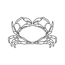 One-Line Crab Drawing for All Ages to Practice Spacing and Basic Animal Form