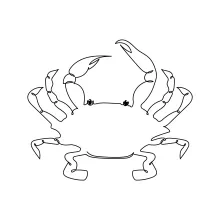 Minimal Crab Art in One Line for Developing Visual Thinking and Shape Memory