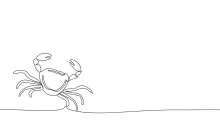 Running Crab One-Line Drawing to Teach Motion and Form in Simple Animal Art