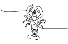 Lobster Crayfish One-Line Drawing to Practice Detailed Forms with Minimal Effort