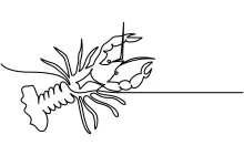 Lobster Crayfish One-Line Sketch to Explore Sea Creature Shapes with Simple Lines